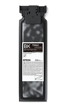 EPSON Ultrachrome DG2 ink 250ml | F1070 - Image 2