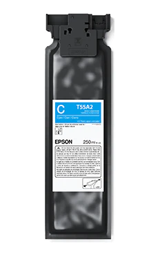 EPSON Ultrachrome DG2 ink 250ml | F1070 - Image 3