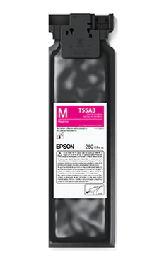 EPSON Ultrachrome DG2 ink 250ml | F1070 - Image 4
