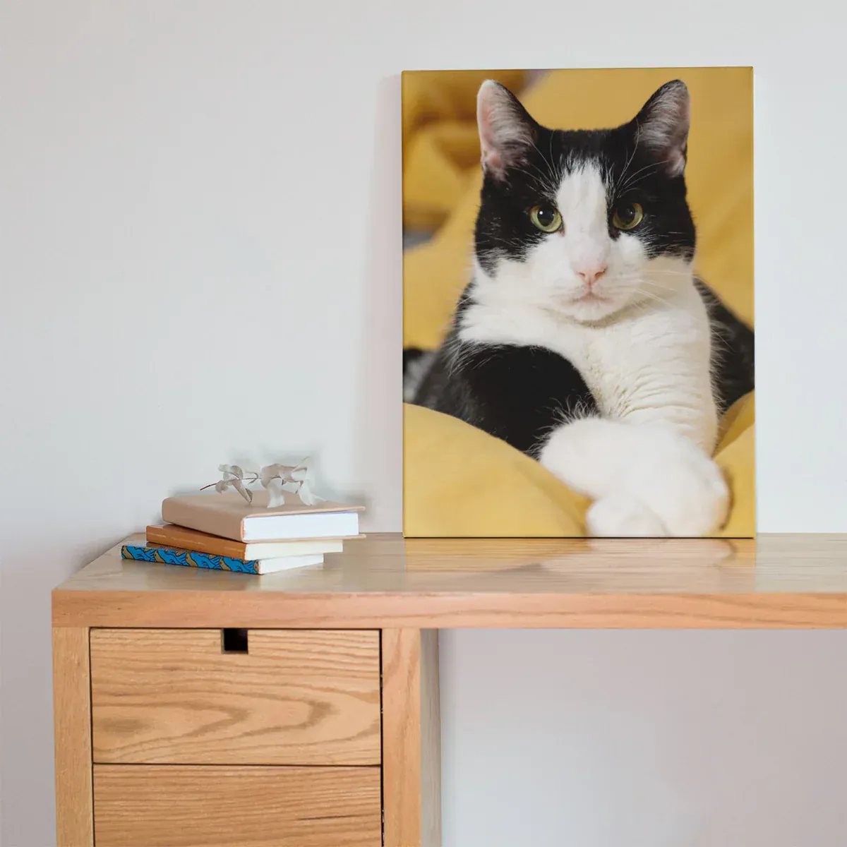 Roland Semi-Gloss Adhesive Canvas - Image 2