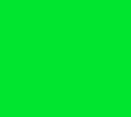 Siser Brick 600 Fluorescent 20" Vinyl - Image 4