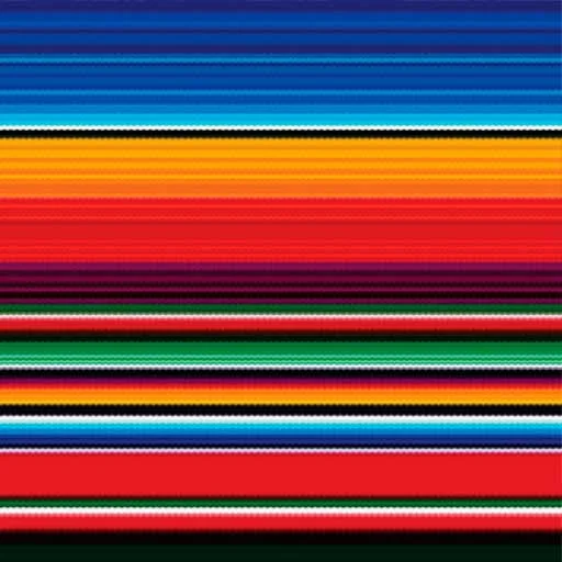 Siser EasyPatterns Plus 12" Vinyl - Image 16