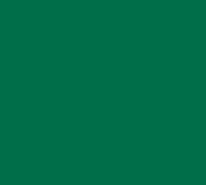 Siser EasyWeed Matte Vinyl - Image 6