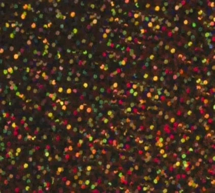 Siser Holographic Vinyl - Image 11