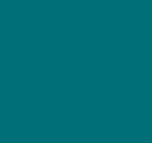 ThermoFlex Plus 20" 1yd - Image 18