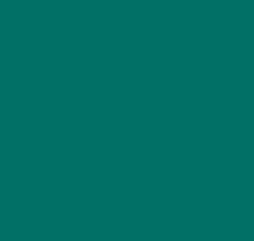 ThermoFlex Plus 20" 1yd - Image 20