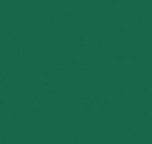 ThermoFlex Plus 20" 1yd - Image 25